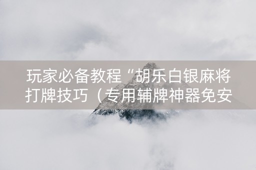 玩家必备教程“胡乐白银麻将打牌技巧（专用辅牌神器免安装）