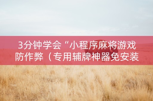 3分钟学会“小程序麻将游戏防作弊（专用辅牌神器免安装）