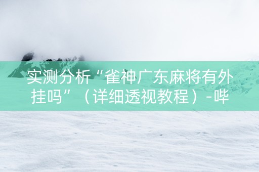 实测分析“雀神广东麻将有外挂吗”（详细透视教程）-哔哩哔哩
