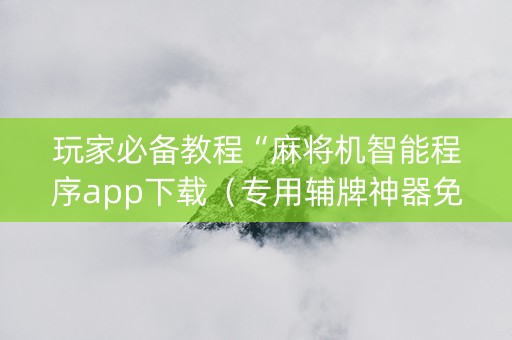 玩家必备教程“麻将机智能程序app下载（专用辅牌神器免安装）