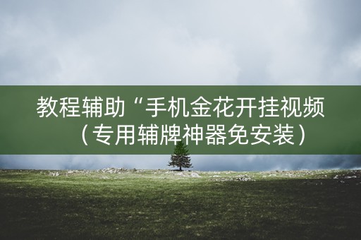 教程辅助“手机金花开挂视频（专用辅牌神器免安装）