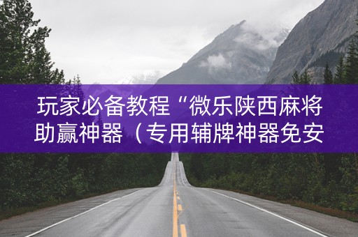玩家必备教程“微乐陕西麻将助赢神器（专用辅牌神器免安装）