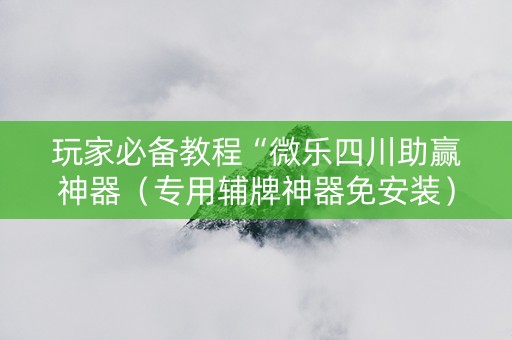 玩家必备教程“微乐四川助赢神器（专用辅牌神器免安装）