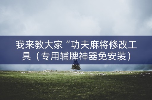 我来教大家“功夫麻将修改工具（专用辅牌神器免安装）