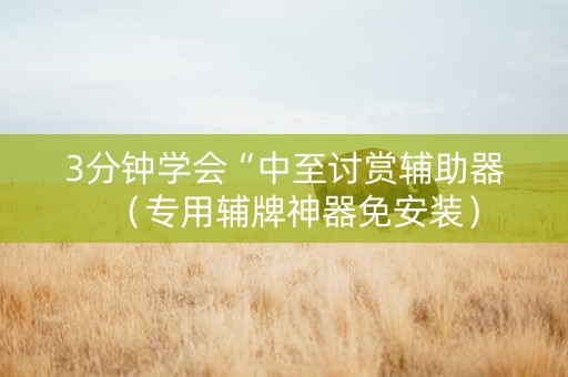 3分钟学会“中至讨赏辅助器（专用辅牌神器免安装）