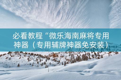 必看教程“微乐海南麻将专用神器（专用辅牌神器免安装）