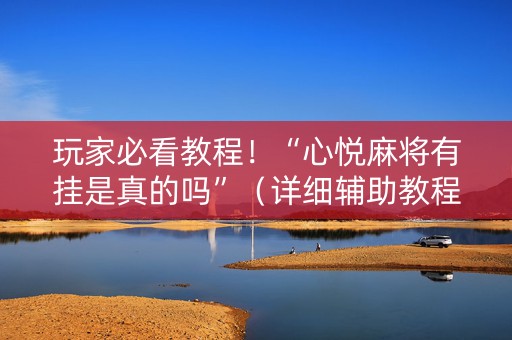 玩家必看教程！“心悦麻将有挂是真的吗”（详细辅助教程）-哔哩哔哩