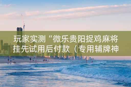 玩家实测“微乐贵阳捉鸡麻将挂先试用后付款（专用辅牌神器免安装）