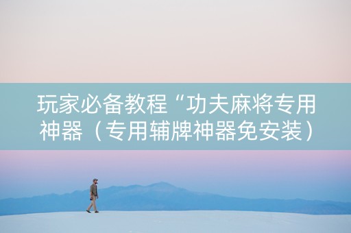 玩家必备教程“功夫麻将专用神器（专用辅牌神器免安装）