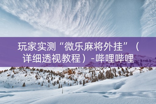 玩家实测“微乐麻将外挂”（详细透视教程）-哔哩哔哩
