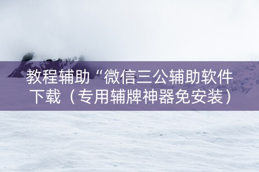 教程辅助“微信三公辅助软件下载（专用辅牌神器免安装）
