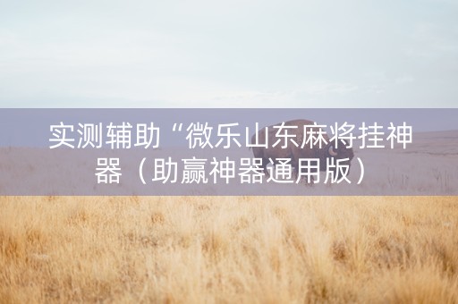 实测辅助“微乐山东麻将挂神器（助赢神器通用版）
