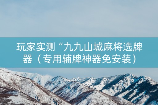 玩家实测“九九山城麻将选牌器（专用辅牌神器免安装）