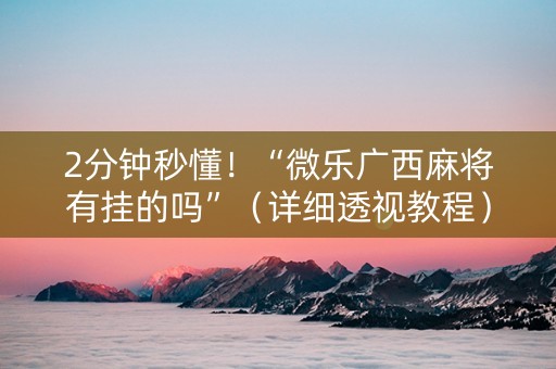 2分钟秒懂！“微乐广西麻将有挂的吗”（详细透视教程）-哔哩哔哩