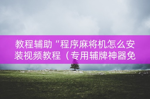 教程辅助“程序麻将机怎么安装视频教程（专用辅牌神器免安装）