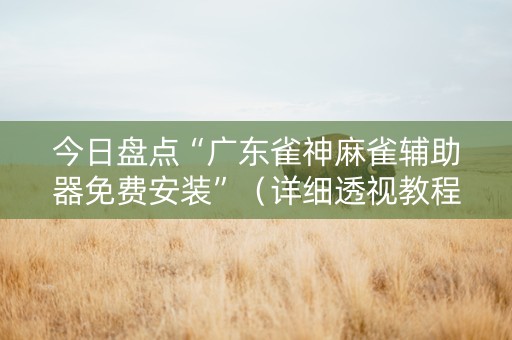 今日盘点“广东雀神麻雀辅助器免费安装”（详细透视教程）-哔哩哔哩