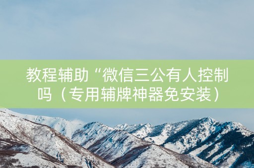 教程辅助“微信三公有人控制吗（专用辅牌神器免安装）
