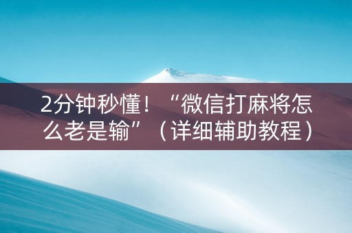 2分钟秒懂！“微信打麻将怎么老是输”（详细辅助教程）-哔哩哔哩