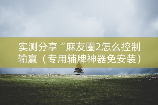 实测分享“麻友圈2怎么控制输赢（专用辅牌神器免安装）