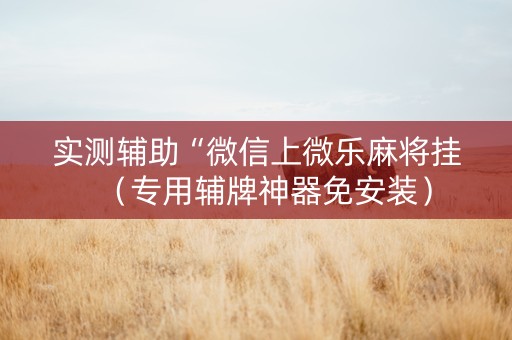 实测辅助“微信上微乐麻将挂（专用辅牌神器免安装）