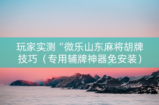 玩家实测“微乐山东麻将胡牌技巧（专用辅牌神器免安装）