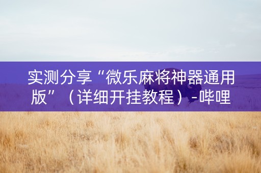 实测分享“微乐麻将神器通用版”（详细开挂教程）-哔哩哔哩
