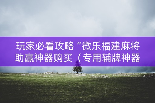 玩家必看攻略“微乐福建麻将助赢神器购买（专用辅牌神器免安装）