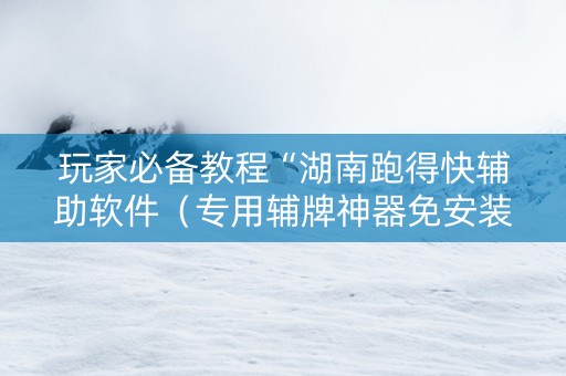 玩家必备教程“湖南跑得快辅助软件（专用辅牌神器免安装）