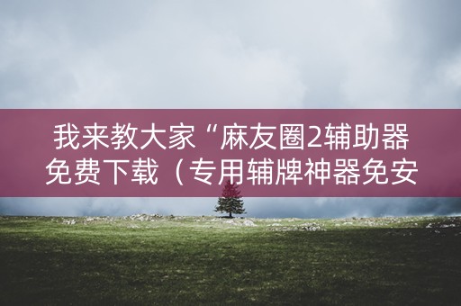 我来教大家“麻友圈2辅助器免费下载（专用辅牌神器免安装）