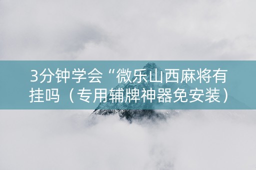 3分钟学会“微乐山西麻将有挂吗（专用辅牌神器免安装）