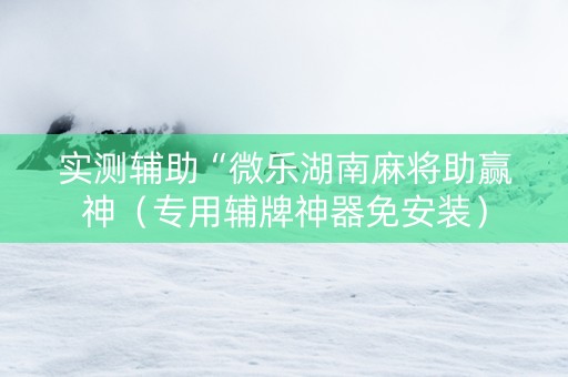 实测辅助“微乐湖南麻将助赢神（专用辅牌神器免安装）