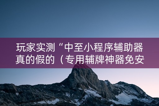 玩家实测“中至小程序辅助器真的假的（专用辅牌神器免安装）