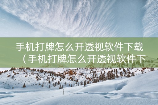 手机打牌怎么开透视软件下载（手机打牌怎么开透视软件下载安卓）