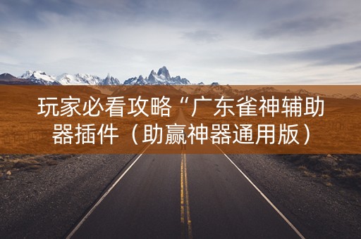玩家必看攻略“广东雀神辅助器插件（助赢神器通用版）