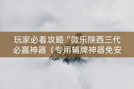 玩家必看攻略“微乐陕西三代必赢神器（专用辅牌神器免安装）