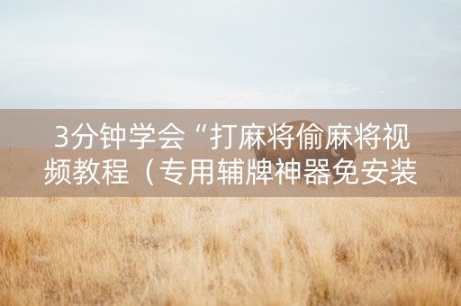 3分钟学会“打麻将偷麻将视频教程（专用辅牌神器免安装）