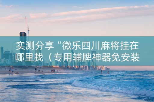 实测分享“微乐四川麻将挂在哪里找（专用辅牌神器免安装）