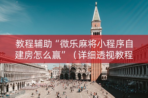 教程辅助“微乐麻将小程序自建房怎么赢”（详细透视教程）-哔哩哔哩