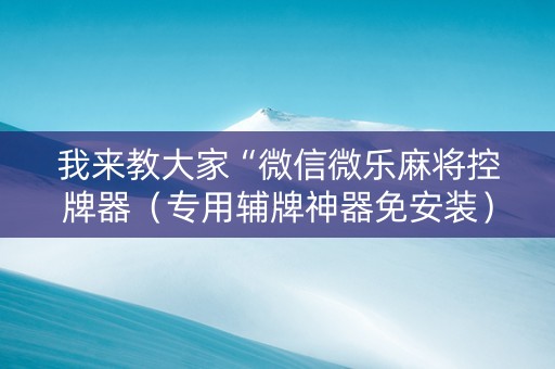 我来教大家“微信微乐麻将控牌器（专用辅牌神器免安装）