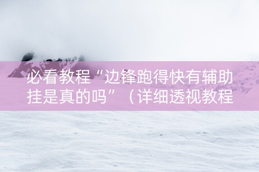 必看教程“边锋跑得快有辅助挂是真的吗”（详细透视教程）-哔哩哔哩