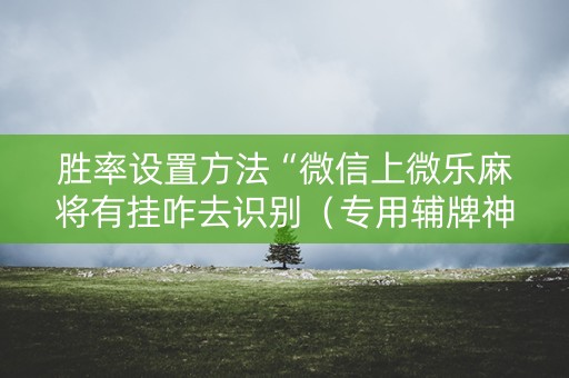胜率设置方法“微信上微乐麻将有挂咋去识别（专用辅牌神器免安装）