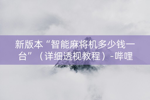 新版本“智能麻将机多少钱一台”（详细透视教程）-哔哩哔哩