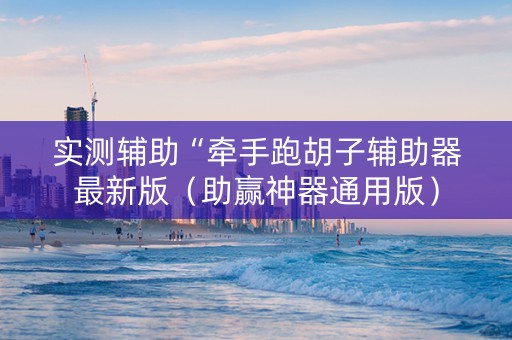 实测辅助“牵手跑胡子辅助器最新版（助赢神器通用版）