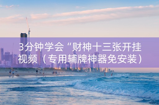 3分钟学会“财神十三张开挂视频（专用辅牌神器免安装）