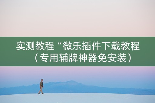实测教程“微乐插件下载教程（专用辅牌神器免安装）