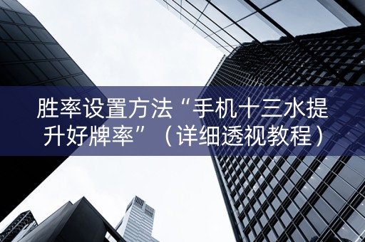 胜率设置方法“手机十三水提升好牌率”（详细透视教程）-哔哩哔哩