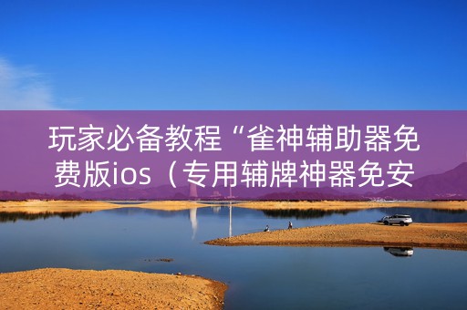 玩家必备教程“雀神辅助器免费版ios（专用辅牌神器免安装）