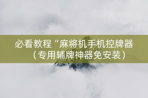 必看教程“麻将机手机控牌器（专用辅牌神器免安装）