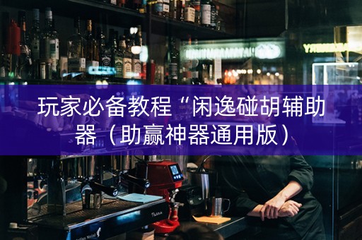 玩家必备教程“闲逸碰胡辅助器（助赢神器通用版）