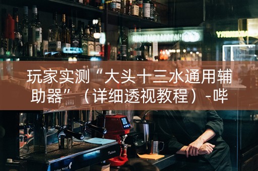 玩家实测“大头十三水通用辅助器”（详细透视教程）-哔哩哔哩